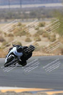 media/May-14-2023-SoCal Trackdays (Sun) [[024eb53b40]]/Turn 5 Tree of Life (1125am)/